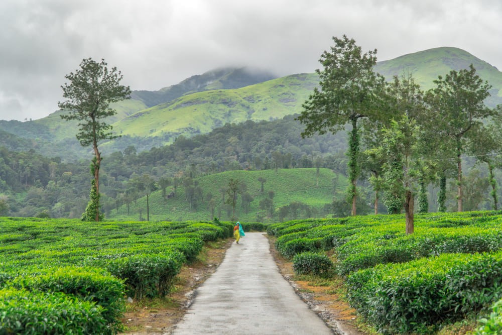 Taxi available for travel in Wayanad