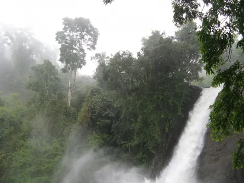 Soochipara Waterfalls in Wayanad